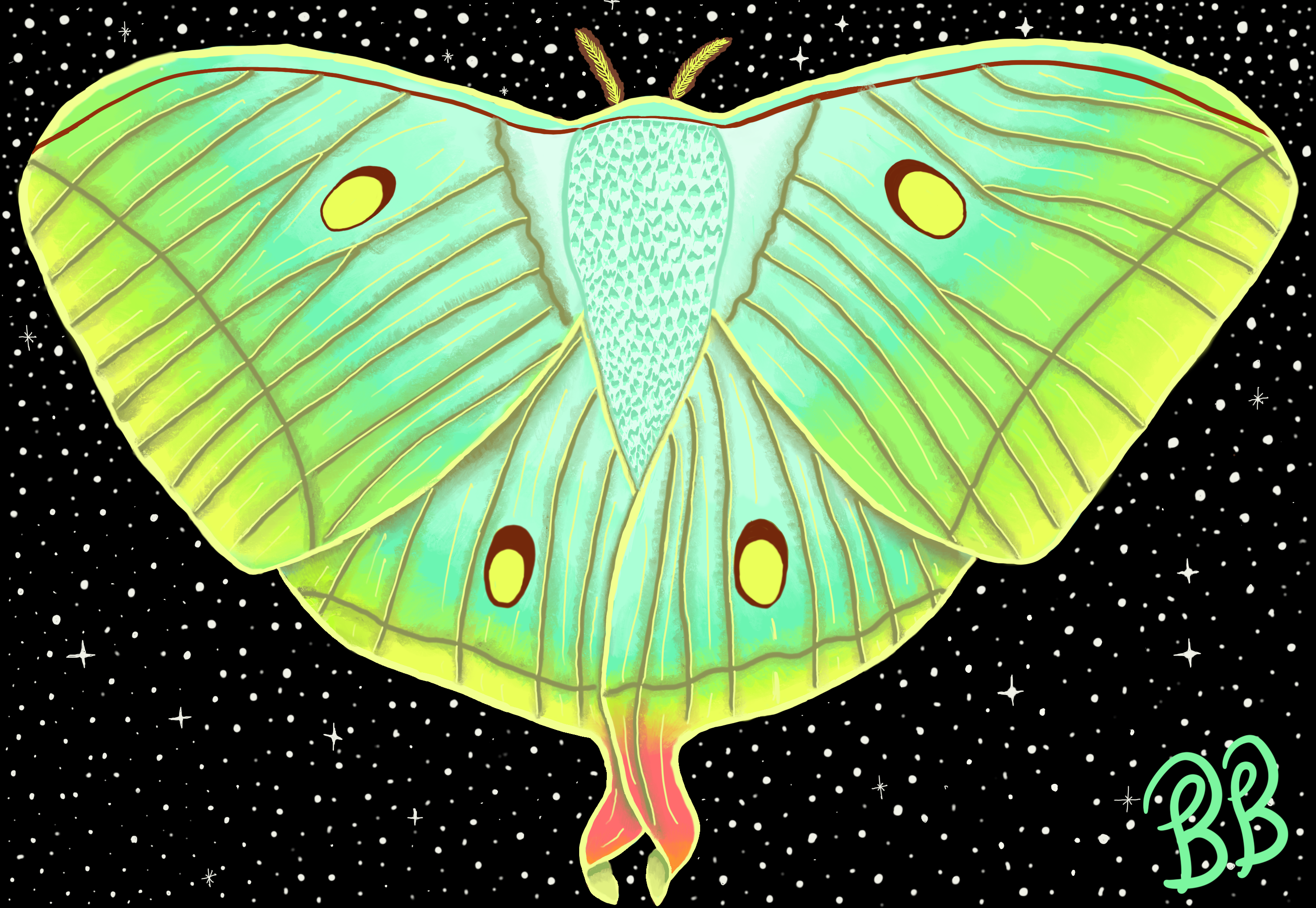 The Stars are Big Lamps